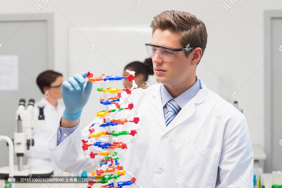 ��ͷDNA���Ӽ����ɷ�Ϊ���֣�