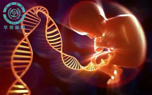 ��ͷ������ô�ж�̥��������