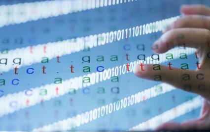 ��ͷ�ϻ������Ӽ�����ô����