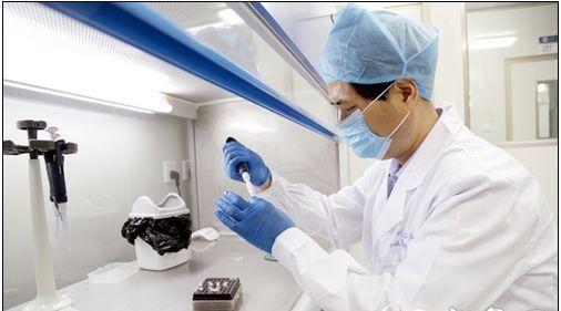 ��ͷ����dna���Ӽ�����ô����