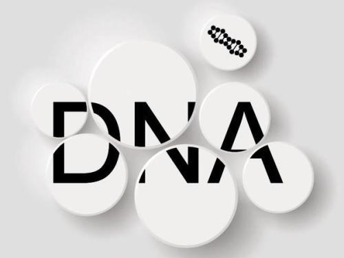  ʲô��DNA���Ӽ�������ԭ����ʲô