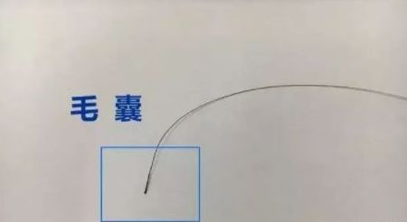 ͷ������������DNA������,������ô�ɼ�...