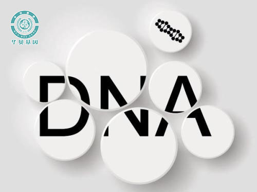 ��ͷ���˾���Ӽ�����Ҫ�Ĳ���