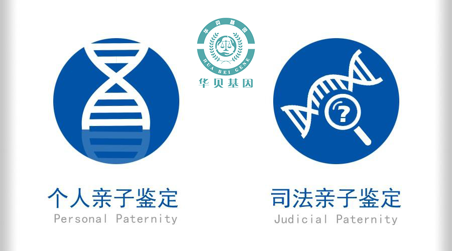 ���Ӽ������㶼�˽�����