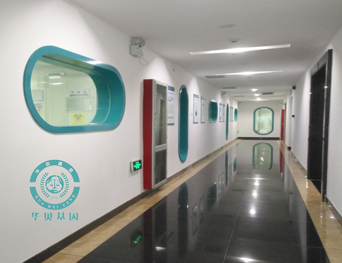 �������Ӽ�����������ɿ�