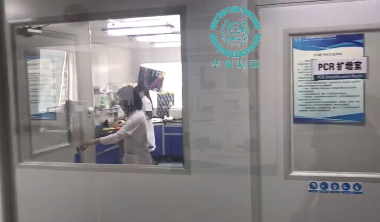  ��ͷ����ҽԺ���Ӽ�������