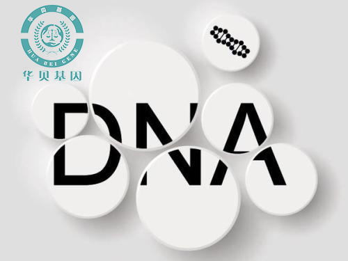 ��ͷdna���Ӽ�������