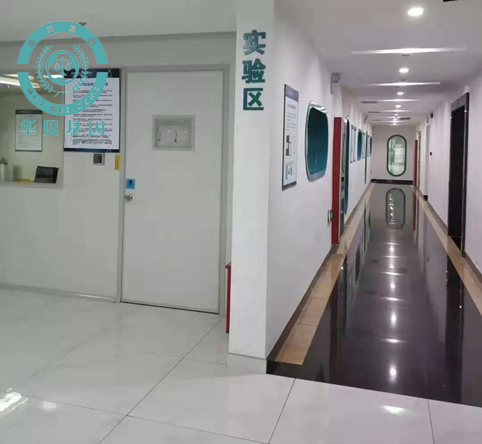 ��ͷ���������Ӽ�������Ǯ