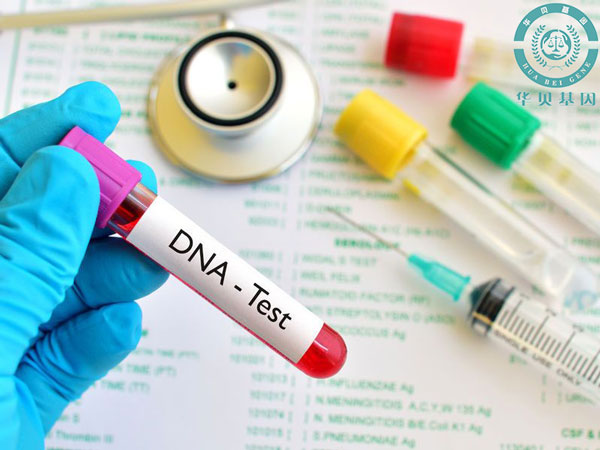 ��ͷDNA�޴�̥��������Ǯ