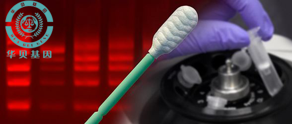 ͵͵��������ˢ�п������������Ӽ����ˣ���...