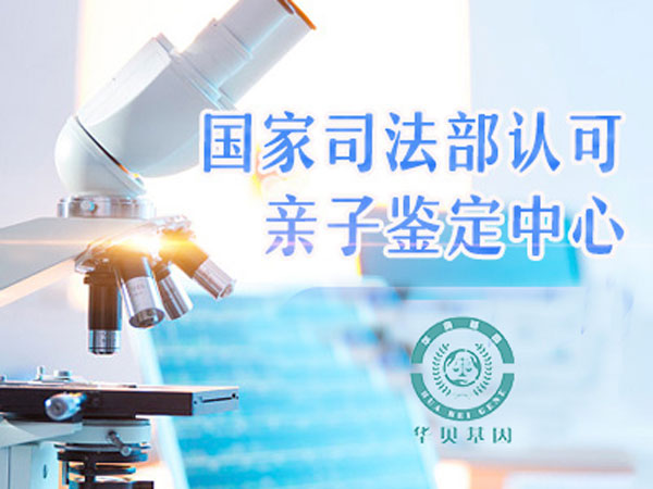 ��ͷdna���Ӽ��������Ƕ���