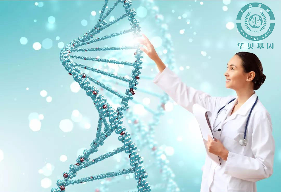 dna���Ӽ�������Ҫ����������õ�