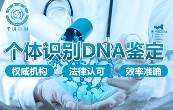 ��ͷ���Ӽ����ö�ó����