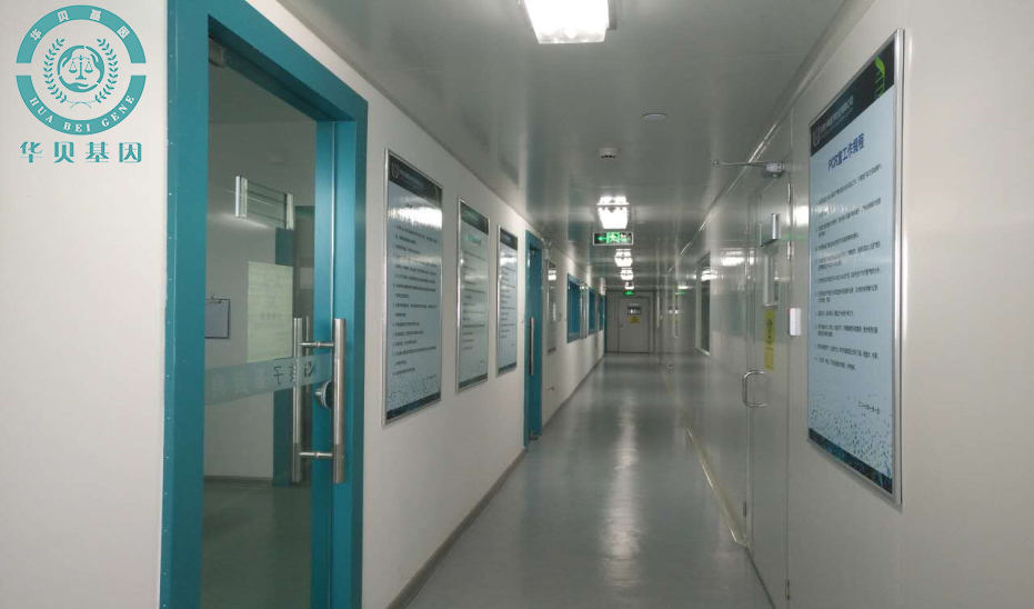 ��ͷ�����Ӽ������ļ��ּ�������