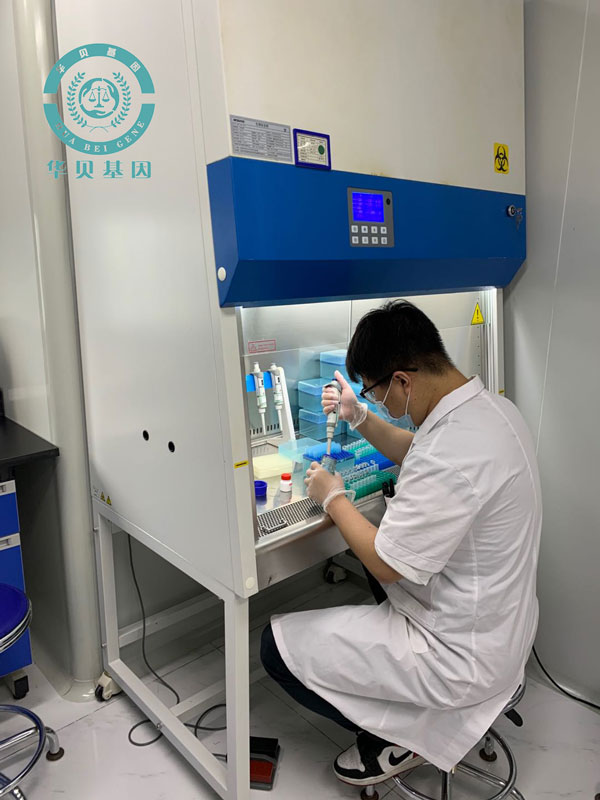 ����ͷ�����Ӽ����ķ�����ʲô?���Ӽ�����...