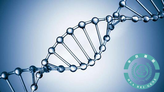 ��ͷ���Ӽ����ķ����м���?���ֵ�׼ȷ����...