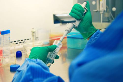 ��ͷdna���Ӽ�����Ҫʲô����?