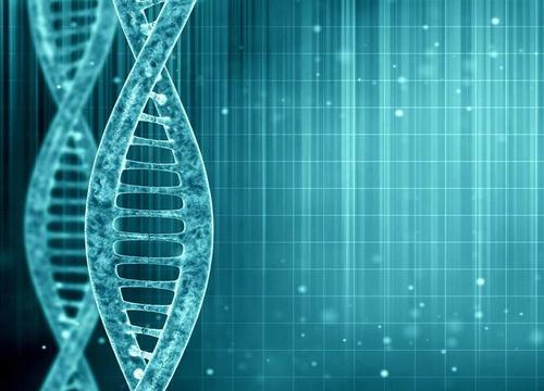 ��ͷ����ͷ�������Ӽ������ô�ɼ�ͷ����...