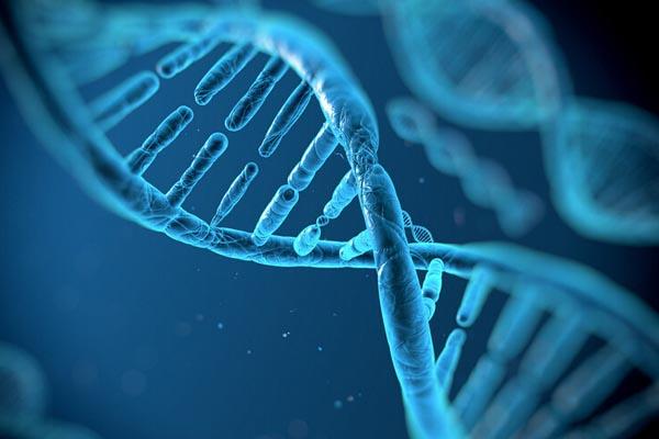 ��ͷ�����Ӽ���ΪʲôҪ���ܣ��������ܣ�