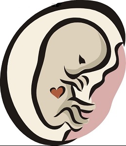 ��ͷ��������Ҫ�����Ӽ�������Ǯ��