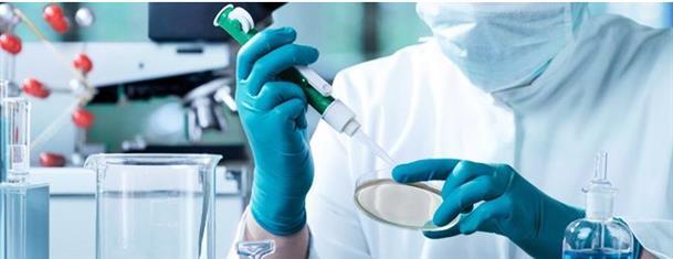 ��ͷ̥�����Ӽ����Ѽ���ˮ��ͷ���Ϳ�����