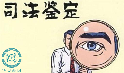 ��ͷת����Ҫ�����Ӽ�����