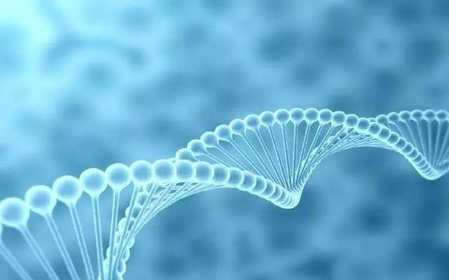 �������Ӽ�����֪�����١��������������