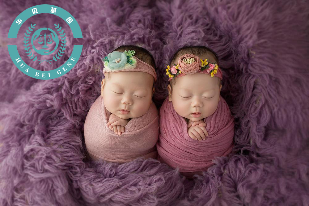 ��ͷ�޴�̥�����Ӽ�����׼ȷ�ʸ���