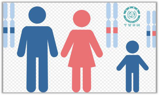 ��ͷ���Ӽ�������ʧ��׼�𣿼������׼...