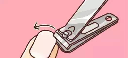 ��ָ�׿��������Ӽ�����