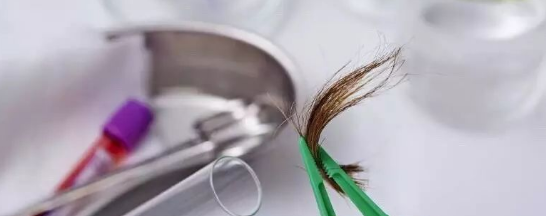 Ϊʲô��ͷ���������Ӽ����������ϸ�