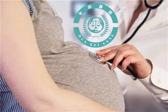 �޴�dna���Ӽ����ͳ�����һ����