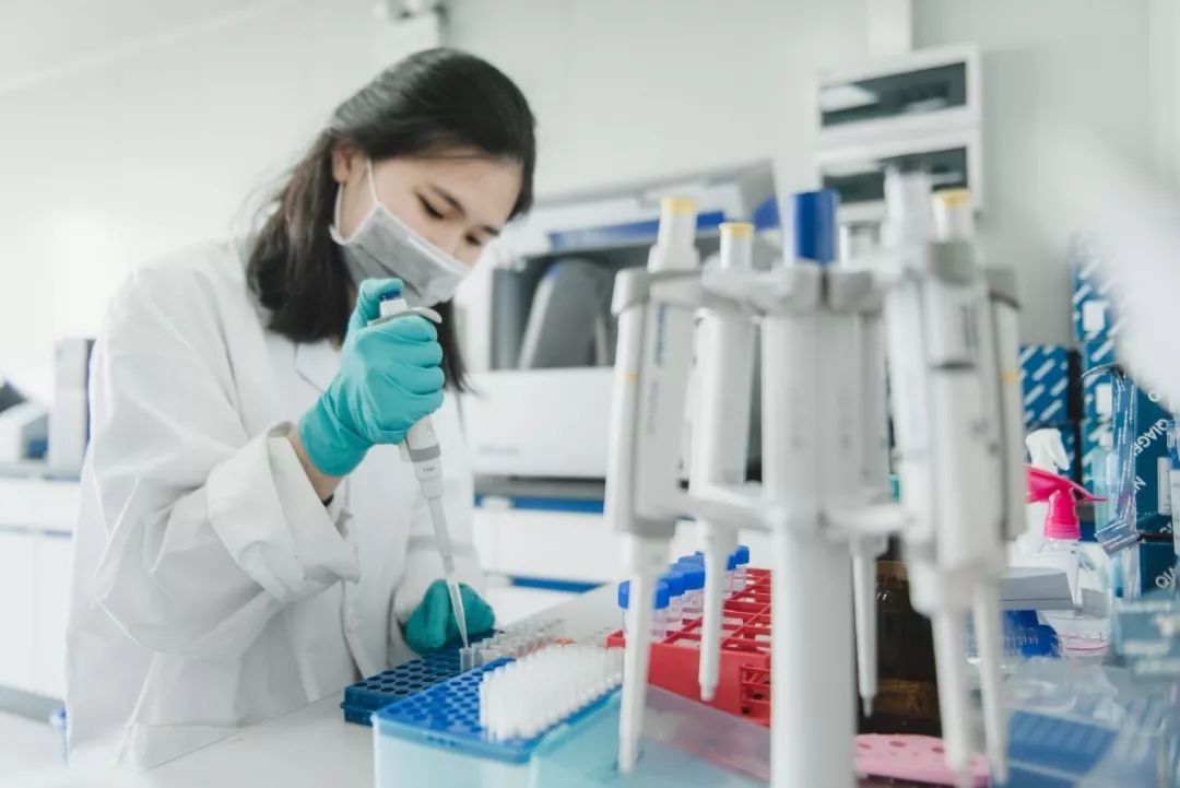 ��ͷ��̥��dna���Ӽ����ļ�Ǯ�Ƕ��٣���...