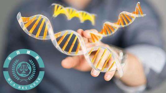 �������Ӽ����Ƿ�����˽������