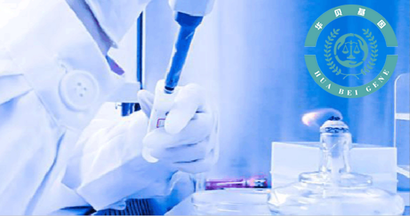 ʲô�����Ӽ��������Ӽ�������Щ����������