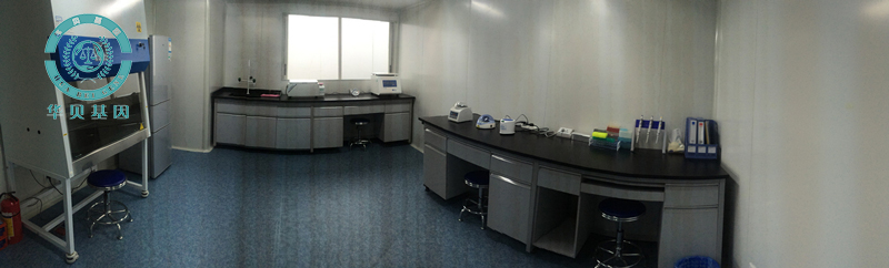 ��ͷ���Ӽ��������Ƕ��٣�Ӱ��۸��������...