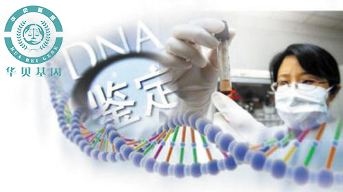 ��̥�����Ӽ�����Ҫ�ṩ���׵�ʲô����?