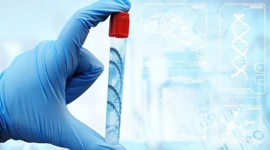 �����Ӽ�����ʲô�����ȽϺ�