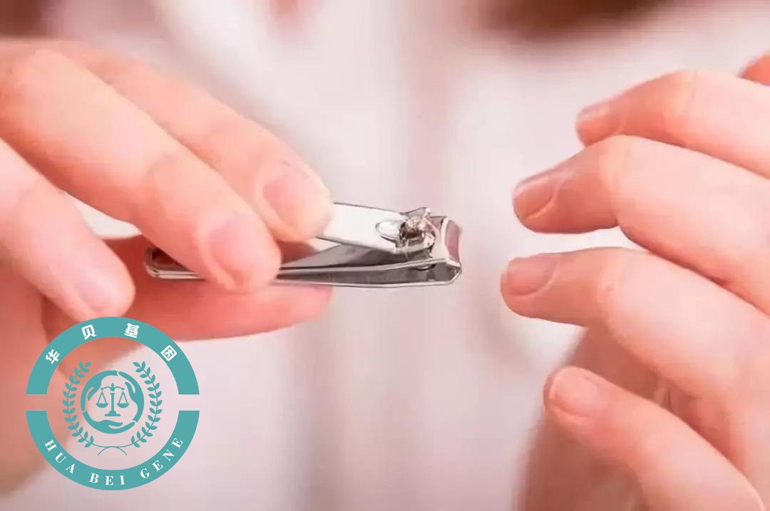 ���ɶ��Ӳ�������������������ָ�������Ӽ�...