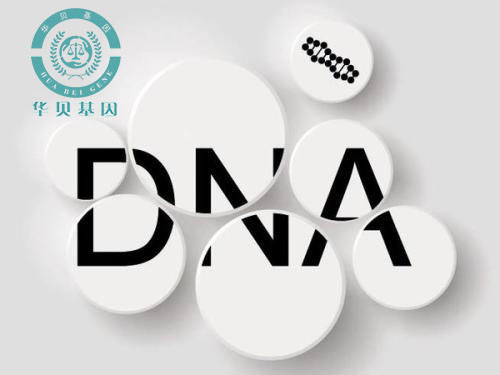 �������Ӽ�������������֪����ô��?